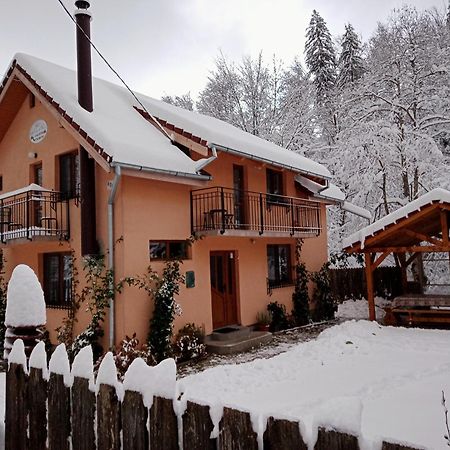 Вилла Casa Iulia & Matei Кырцишоара Экстерьер фото