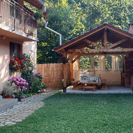 Вилла Casa Iulia & Matei Кырцишоара Экстерьер фото