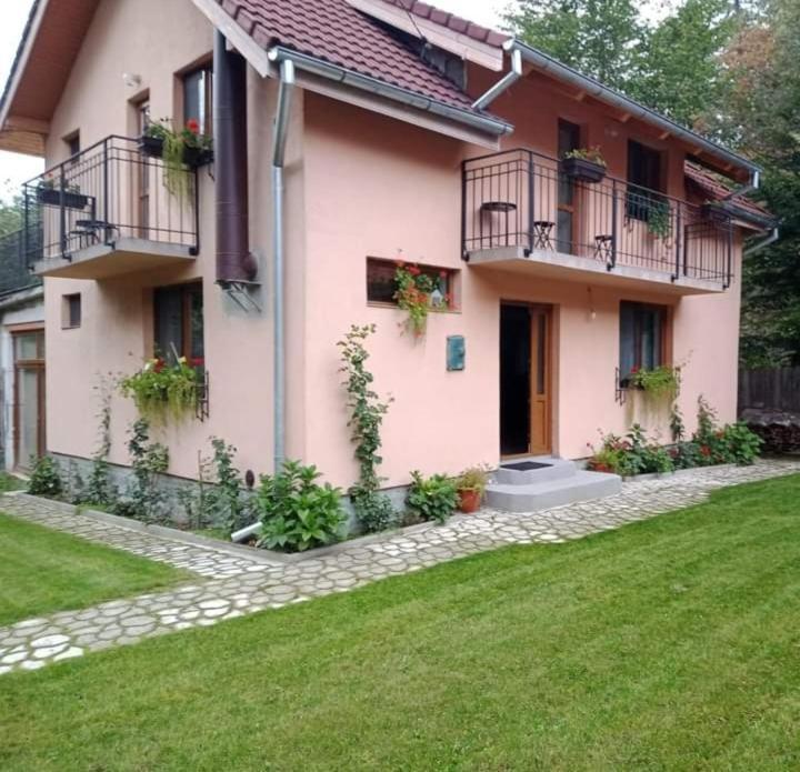 Вилла Casa Iulia & Matei Кырцишоара Экстерьер фото