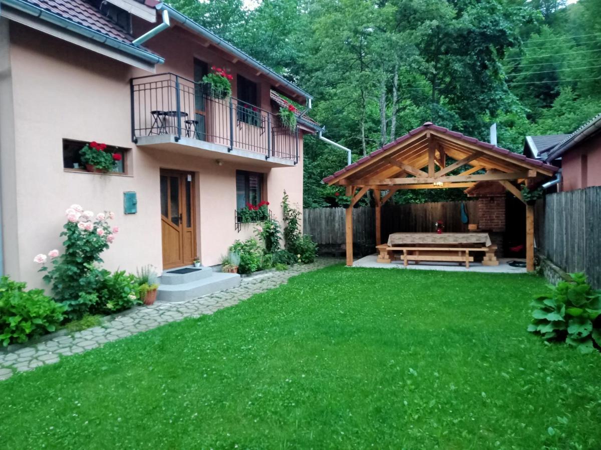 Вилла Casa Iulia & Matei Кырцишоара Экстерьер фото