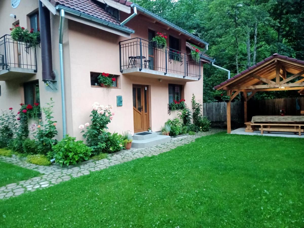 Вилла Casa Iulia & Matei Кырцишоара Экстерьер фото