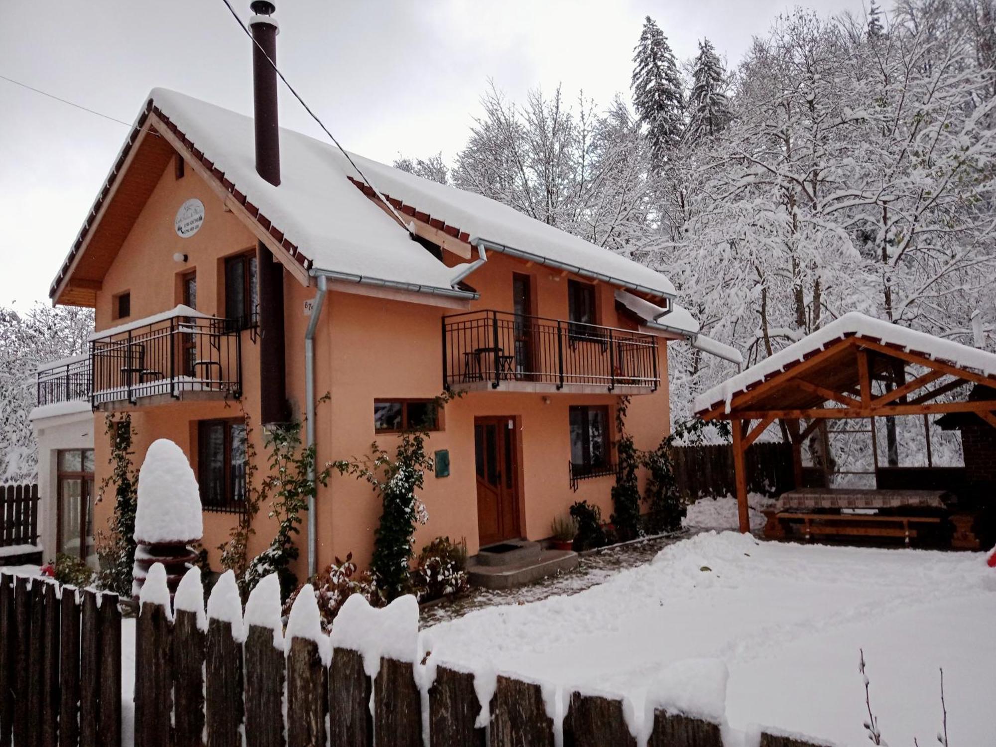 Вилла Casa Iulia & Matei Кырцишоара Экстерьер фото