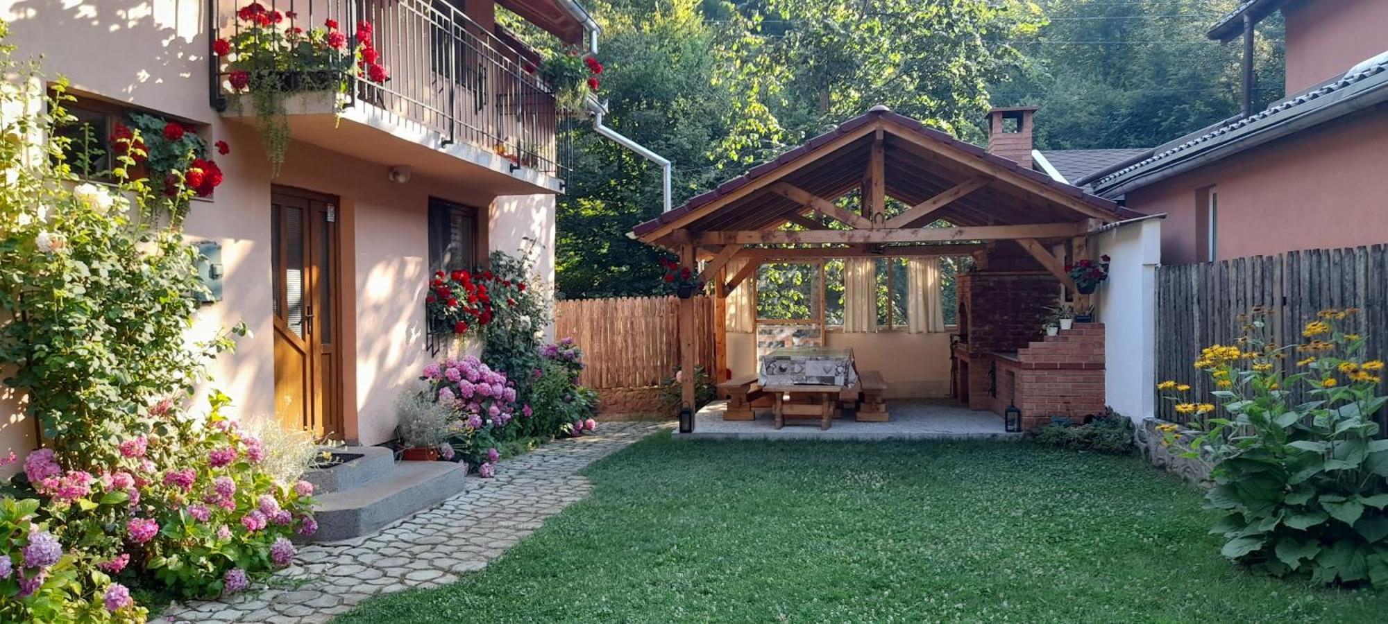 Вилла Casa Iulia & Matei Кырцишоара Экстерьер фото